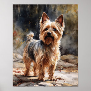 Poster d'impression Silky Terrier Dog Art