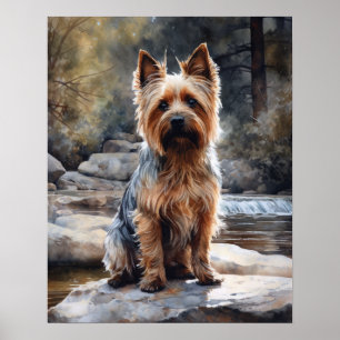 Poster d'impression Silky Terrier Dog Art