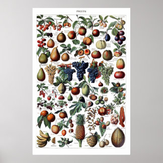 Poster d'impression vintage d'antiquité