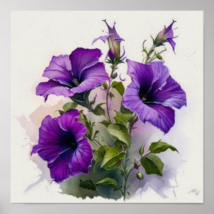 Poster d'impression violet Petunias