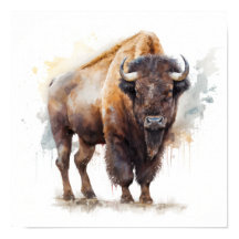 Poster d'impression Western Buffalo Art