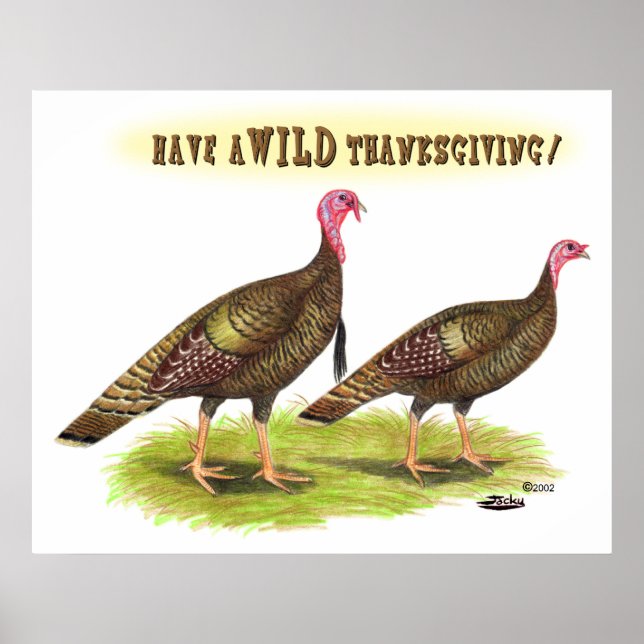 Poster Dinde sauvage Thanksgiving (Devant)