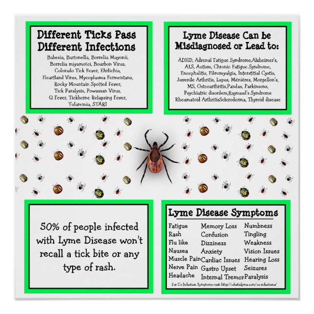 Poster d'information sur la maladie de Lyme (Devant)