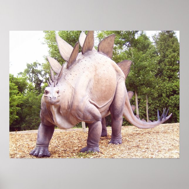 Poster Dinosaur (Devant)