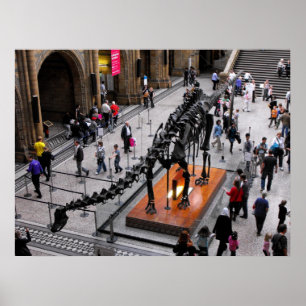 Poster Dinosaure au musée d'Histoire Naturelle