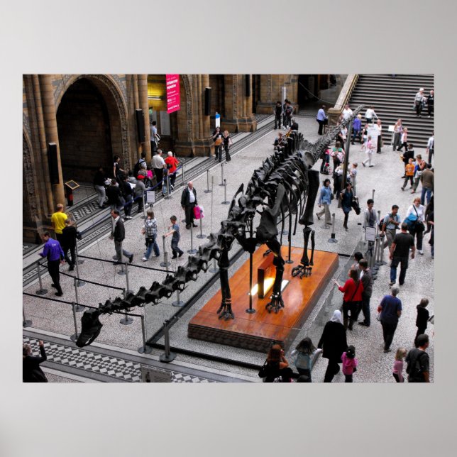 Poster Dinosaure au musée d'Histoire Naturelle (Devant)
