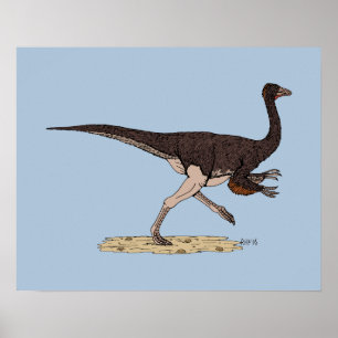 Poster Dinosaure Crétacé Ornithomimus