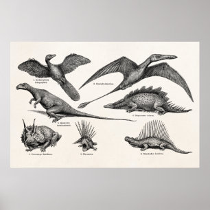 Poster Dinosaure vintage Illustration Dinosaures rétro