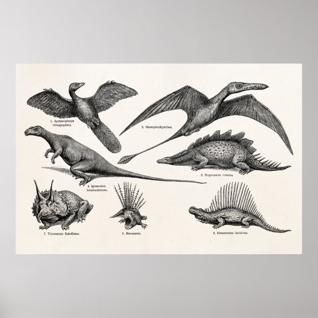 Poster Dinosaure vintage Illustration Dinosaures rétro (Devant)