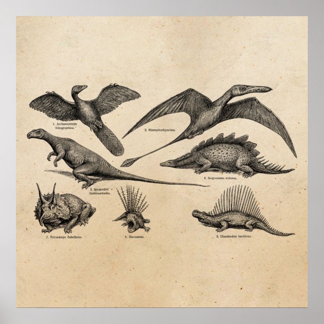 Poster Dinosaure vintage Illustration Dinosaures rétro (Devant)