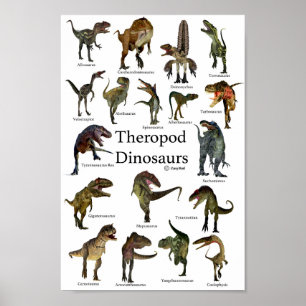 Poster Dinosaures