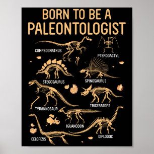 Poster Dinosaures