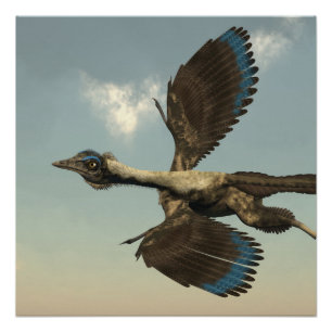 Poster Dinosaures d'oiseaux d'archéoptéryx volant - 3D