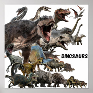Poster Dinosaurs 