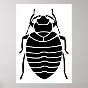 Poster d'insectes de Bedbug noir