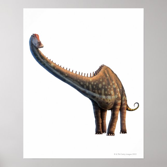 Poster Diplodocus (Devant)