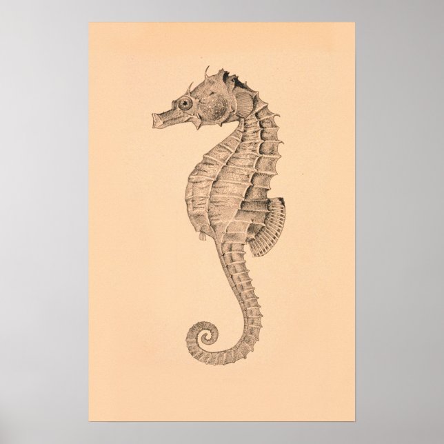 Poster Diptyque maritime vintage II (Devant)