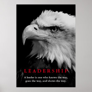 Poster Direction chauve d'Eagle d'Américain