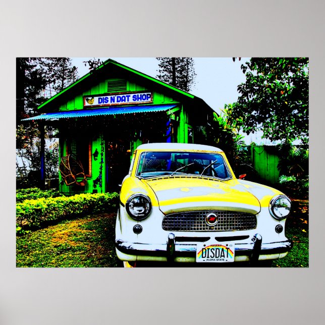 Poster Dis N Dat (Devant)