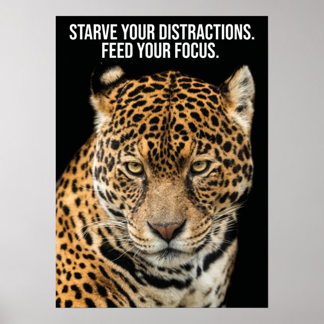Poster Distractions de faim, Focus alimentation - Succès  (Devant)