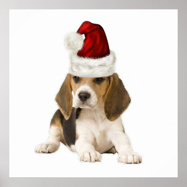 Poster Ditzy Dogs~Poster original~Beagle~Noël (Devant)