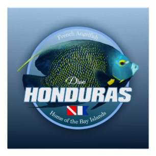 Poster Dive Honduras (DD2)