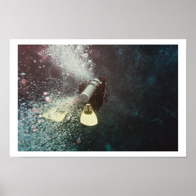 Poster Diver descendant (Devant)
