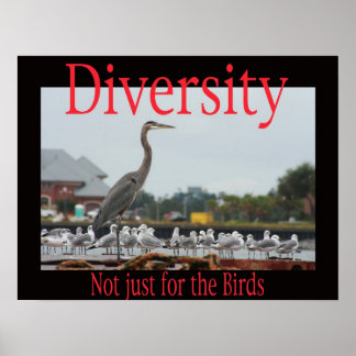 Poster Diversité, pas seulement pour les oiseaux