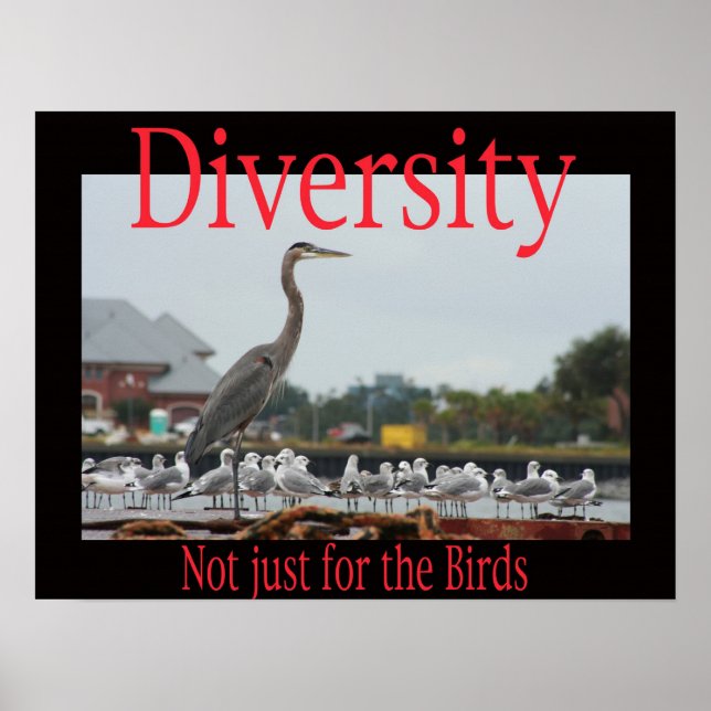 Poster Diversité, pas seulement pour les oiseaux (Devant)
