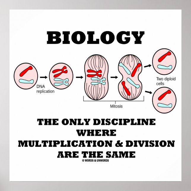 Poster Division de la multiplication par discipline (Devant)
