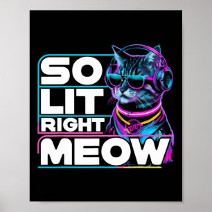 Poster Dj Cat So Lit Right Meow Edm Techno Rave Party Fès