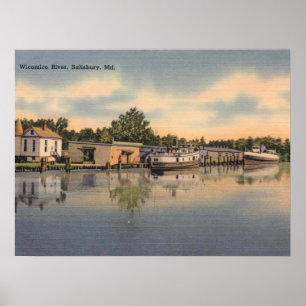 Poster DM de Salisbury, le Maryland, rivière de Wicomico