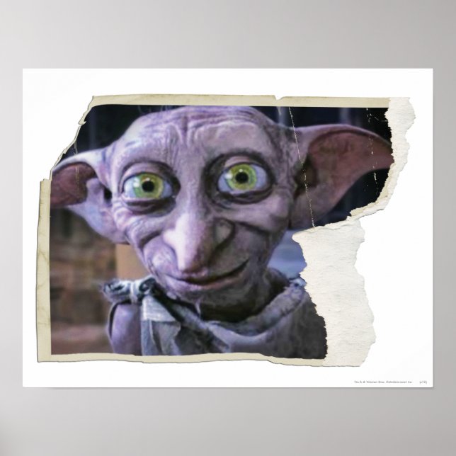 Poster Dobby 1 (Devant)