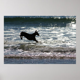 Poster Doberman - Noir - Leap Océan