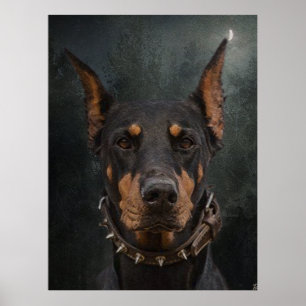 Poster Doberman Pinscher 