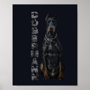 Poster Doberman Pinscher