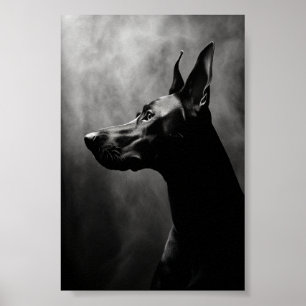 Poster Doberman Pinscher noir et blanc