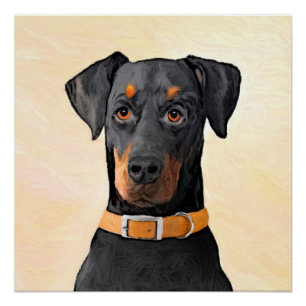 Poster Doberman Pinscher Peinture non découpée Art origin