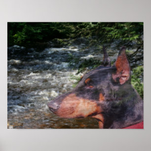 Poster Doberman Pinscher River Tree Imaginaire Art