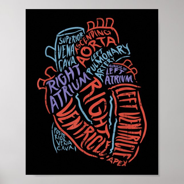 Poster Docteur en anatomie cardiologue Biologie Médicale (Devant)