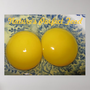 Poster d'oeufs