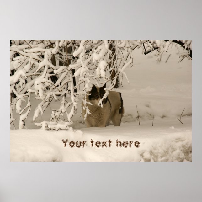 Poster Dog (Devant)