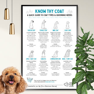 Poster Dog Coat Types Chart - Groomers Wall Art 