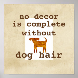 poster dog humor quote on distressed background
