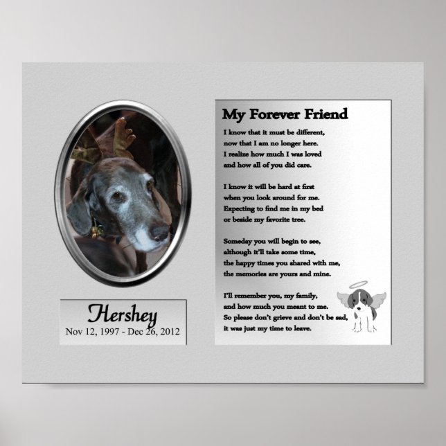 Poster Dog Memorial Mon Ami Forever (Devant)