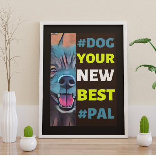 Poster #Dog, ton nouveau meilleur #Pal ...Keeshond