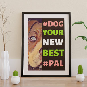 Poster #Dog, ton nouveau meilleur #Pal...Pitbull