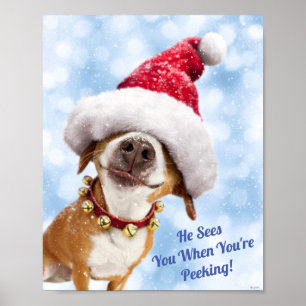 Poster Dog With Big Santa Hat