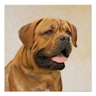 Poster Dogue de Bordeaux Peinture - Cute Original Chien A