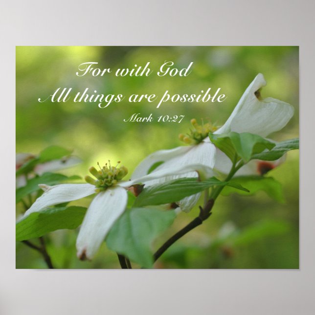 Poster Dogwood With God Bible Quota d'inspiration (Devant)